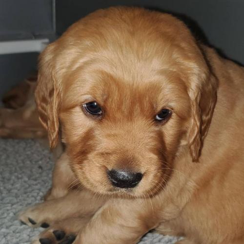 15:14:33 GMT-0500 (EST)