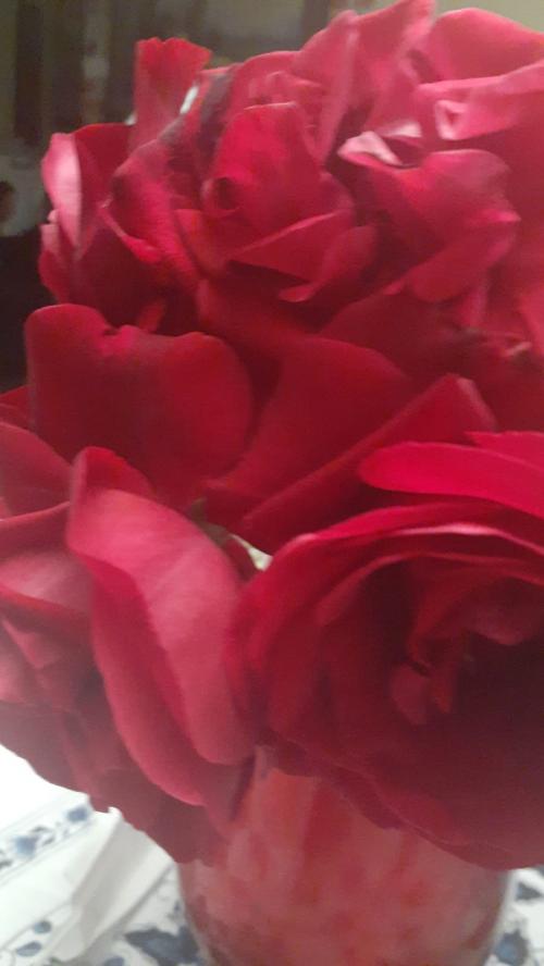 13:34:32 GMT+0100 (WAT).image