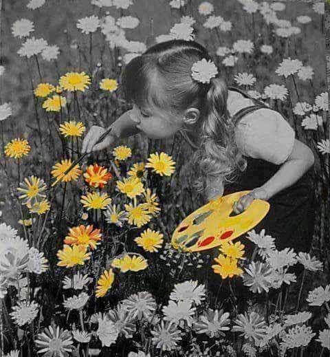 inbound2806541711323645632