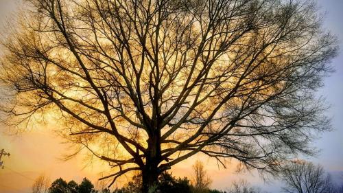 12:59:15 GMT-0800 (PST).image