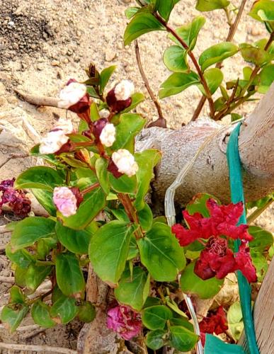 15:21:27 GMT-0800 (PST)