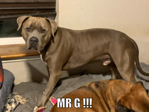 23:18:27 GMT-0600 (CST).image