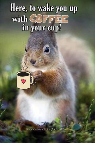 09:15:00 GMT-0600 (CST)