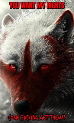 03:10:10 GMT-0500 (EST)