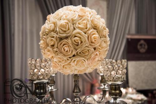 2017 ND Bridal Show00007