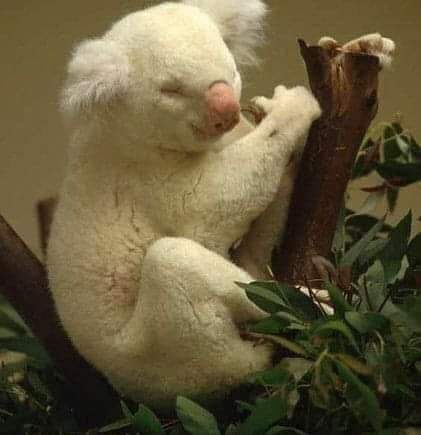 09:45:00 GMT-0500 (EST)