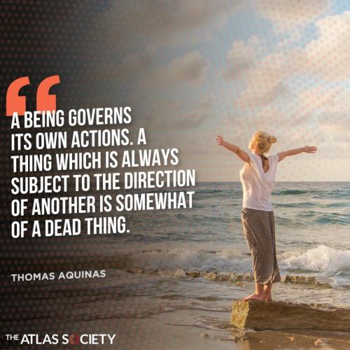 128848435_10158855681780351_3169381227513243003_o