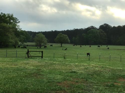 0929DC9E-17BD-4C1C-B606-90655D984508