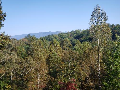 09:07:32 GMT-0600 (CST)