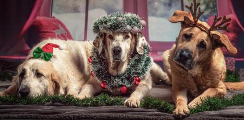 04:05:10 GMT-0600 (CST).image