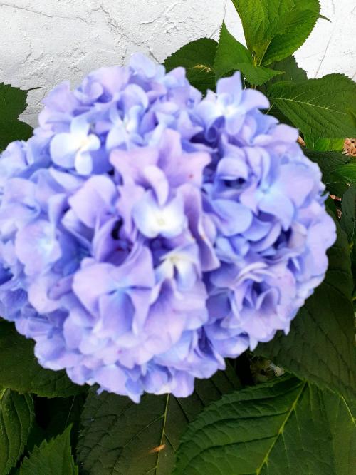 20:10:32 GMT-0500 (EST)