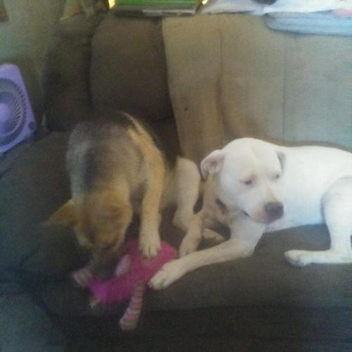 14:36:56 GMT-0700 (MST)