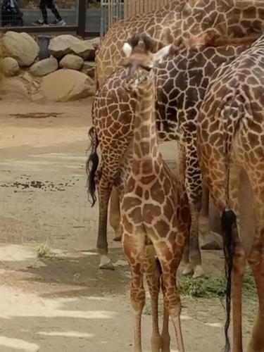 15:30:07 GMT-0800 (PST)