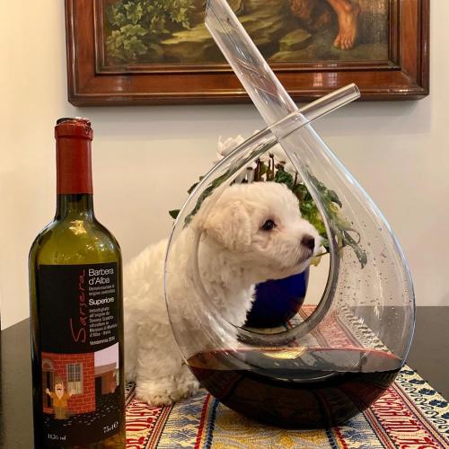 13:57:58 GMT+0100 (WAT)