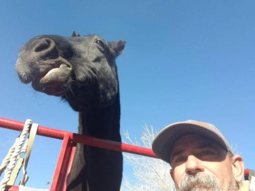 19:01:42 GMT-0800 (PST).image