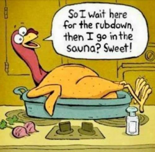 Thanksgiving cartoon turkey gets rubdown and then go into the sauna