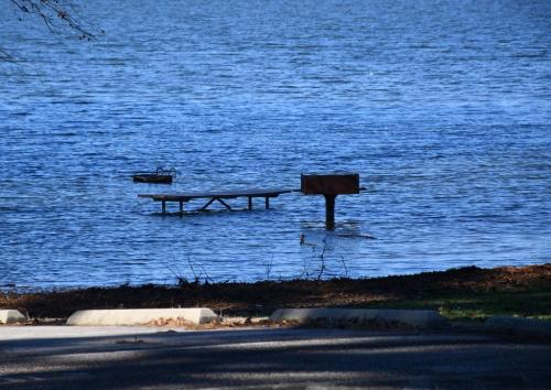 Satt Pt 2020-11-18 (4)