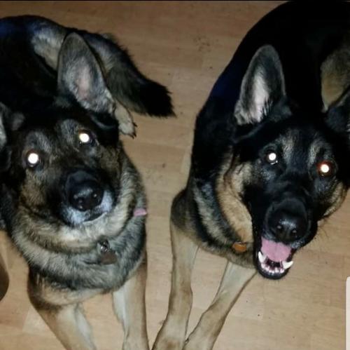 19:25:06 GMT-0600 (CST)