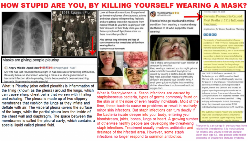 127571824_3829855393702726_6375385501896976513_n - Copy (5)