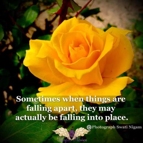 14:51:21 GMT-0600 (CST).image