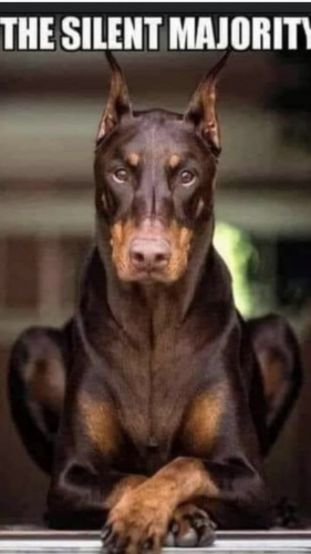 A9AADD87-AF20-4525-9A83-3478A8131B9A