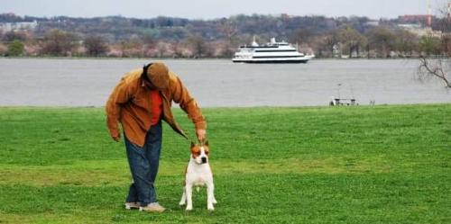 Oscar Pando ? @OsPando