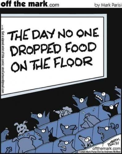 23:11:27 GMT-0500 (EST)