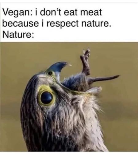 06A86A17-384C-4F2A-B4D2-2654B0C88228-14534-000009BBB4E49331