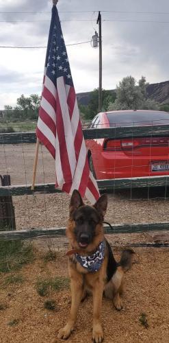 22:05:13 GMT-0700 (MST)