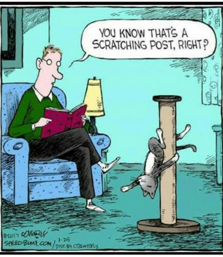 Screenshot_2020-08-25-16-55-39-1