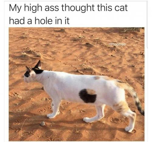 tempFile_2020-01-10-07-28-00