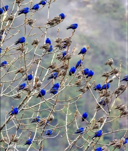 12:15:29 GMT-0600 (CST)