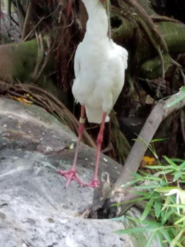 15:30:07 GMT-0800 (PST)