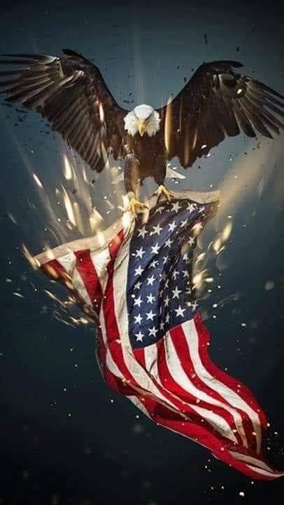 86117E4E-C1DE-4A66-ABD2-7F816E813F9B