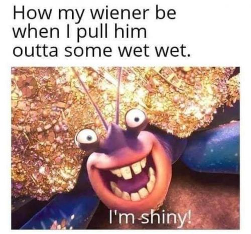 23:04:33 GMT-0600 (CST)