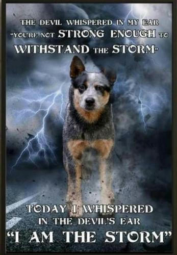 Screenshot_2019-04-12-06-12-03-1