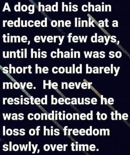 126099467_10158054866728403_7128697927311498156_n