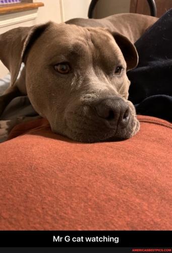 21:17:31 GMT-0600 (CST).image