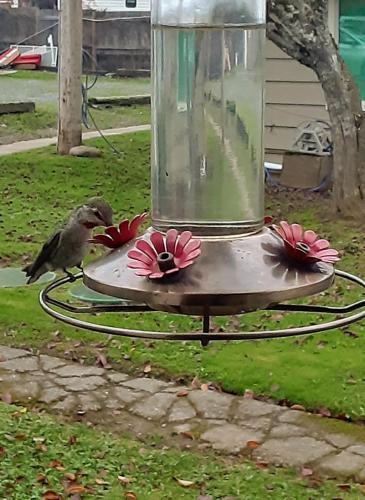 16:50:51 GMT-0800 (PST)