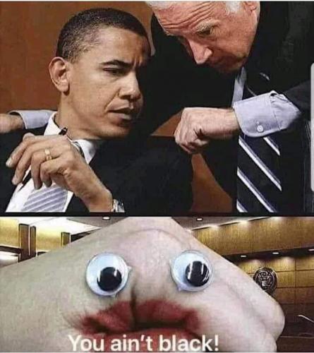 388137E2-3ACE-421B-A85A-86363373B53E-7398-0000050E3747578B