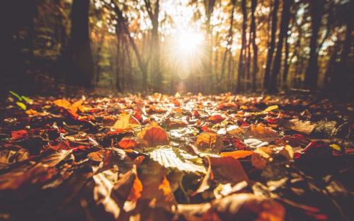 589E4106-58AD-4FA7-A57A-A52D9917AA05-5157-0000057BB913A282