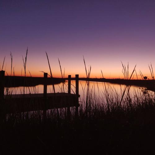 10:38:27 GMT-0500 (EST)