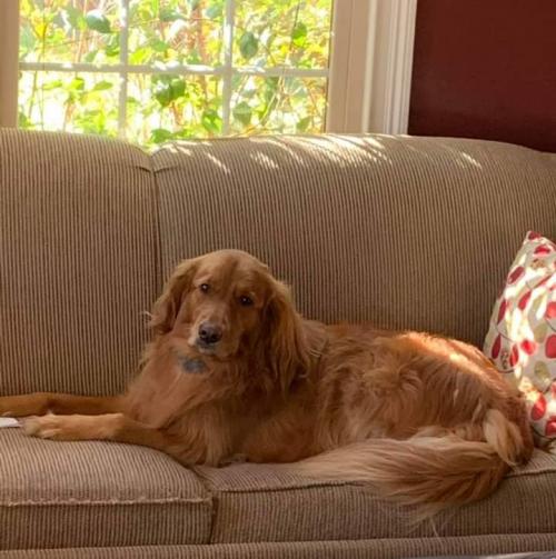 11:48:16 GMT+0100 (WAT)