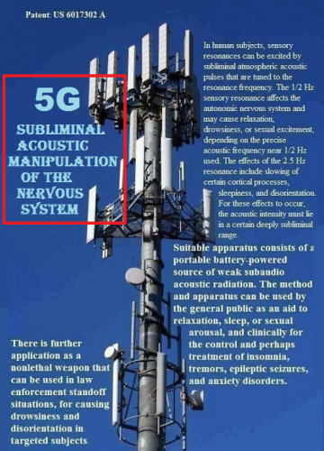 125991896_292440348728112_1530998342643675048_n