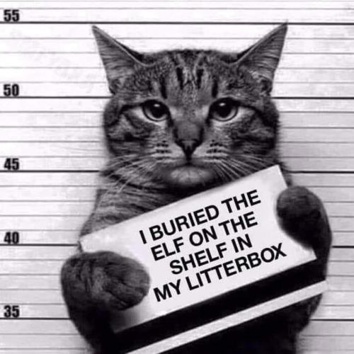 23:08:56 GMT-0500 (EST)