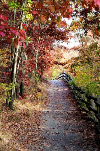 12:37:21 GMT-0500 (EST).image