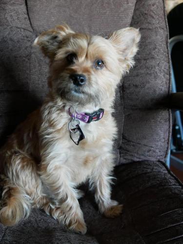 12:02:07 GMT-0800 (PST)