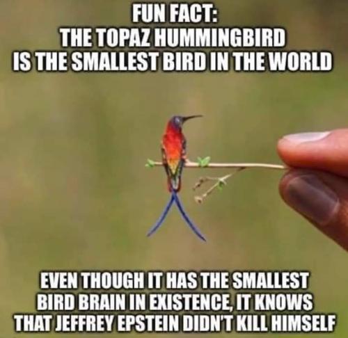 10:03:05 GMT-0500 (EST)