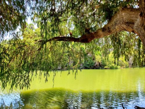 15:42:50 GMT-0800 (PST)