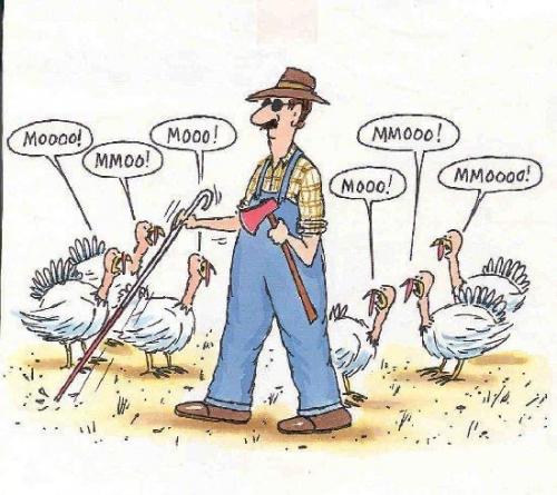 08:56:06 GMT-0600 (CST).image